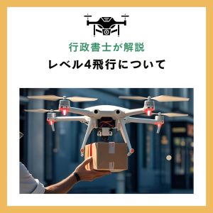 レベル4飛行