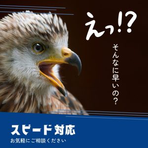 スピード対応